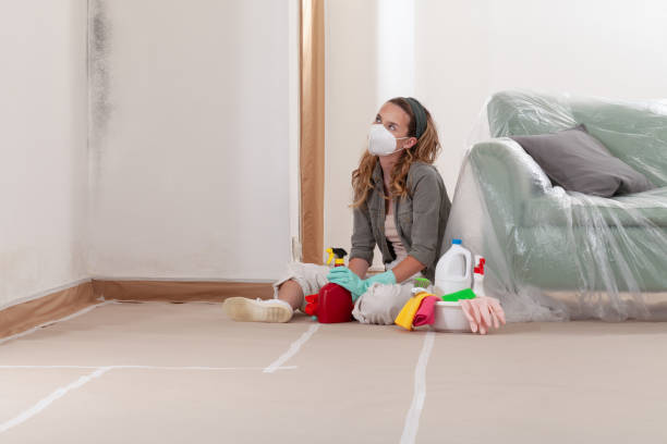 Reliable Mold Removal contractor in Brentwood, TN by WQB Mold Removal